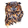 Uhu | eagle-owl