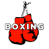 Boxing Gloves