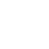 Wingchun en chinois
