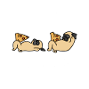 Pug pizza