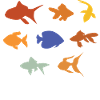 Aquarium aquarium