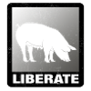 Libérer Vegan Animal Liberation