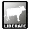 Libérer une vache végétalienne