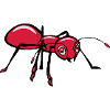 Ant insect nature animal