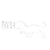 dinosaur