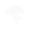 Brain