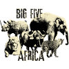 Africa Big Five Rhino Elephant Lion Leopard