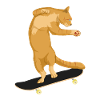 | kat på skateboard Katte | Skater, sk8