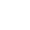 Cat kitten kitty