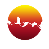 Flying birds - flying birds