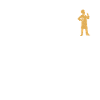 Evolution cook