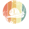 Snail retro