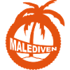 Malediven - Palme