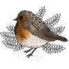 Robins on Branches