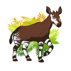 Okapi