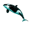 Orca