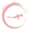 Hammerhai