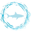 shark