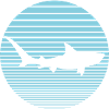 Hai