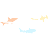 sharks
