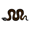 snake