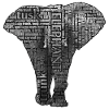 Éléphant afrique