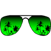 Sonnenbrille