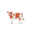 farmer
