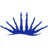 swimming synchronized logo