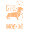 Dachshund dog