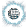 funky Blume des Lebens