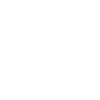 V8