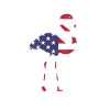 Flamingo America