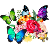 Schmetterlinge und Blumen