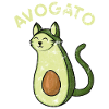Cat avocado gift