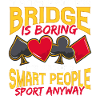 Bridge Card Game Bridge Smart People Sport