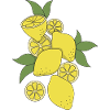 lemon