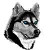 Husky
