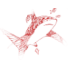 Requin de plongée