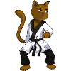Cartoon comic karate cat