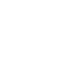 Ameisenbaer