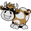 Cow crazy sunglasses