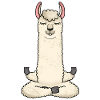 Llama Alpaca Trend Animal Yoga