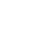 Sheep Animal