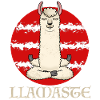 Llamaste Alpaca Llama Yoga