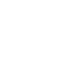 Hedgehog animal