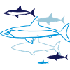 six requins