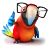 Parrot