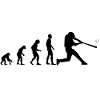 EVOLUTION baseball