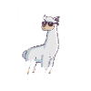 Cadeau drôle d'animaux d'alpaga · Équipe